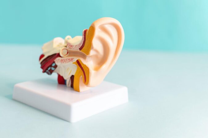 Types of Hearing Aids Types of Hearing Aids